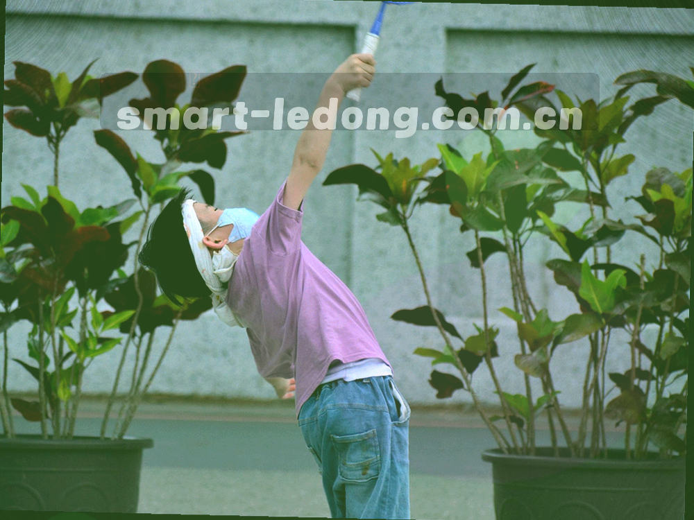 深墨绿背景上由抽象盾牌轮廓与数据线条组成的保护意象